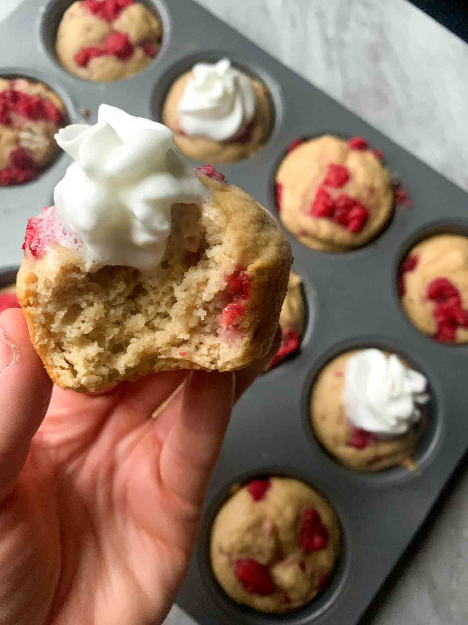 Raspberry Pancake Bites Healthy Recipes Jordo's World