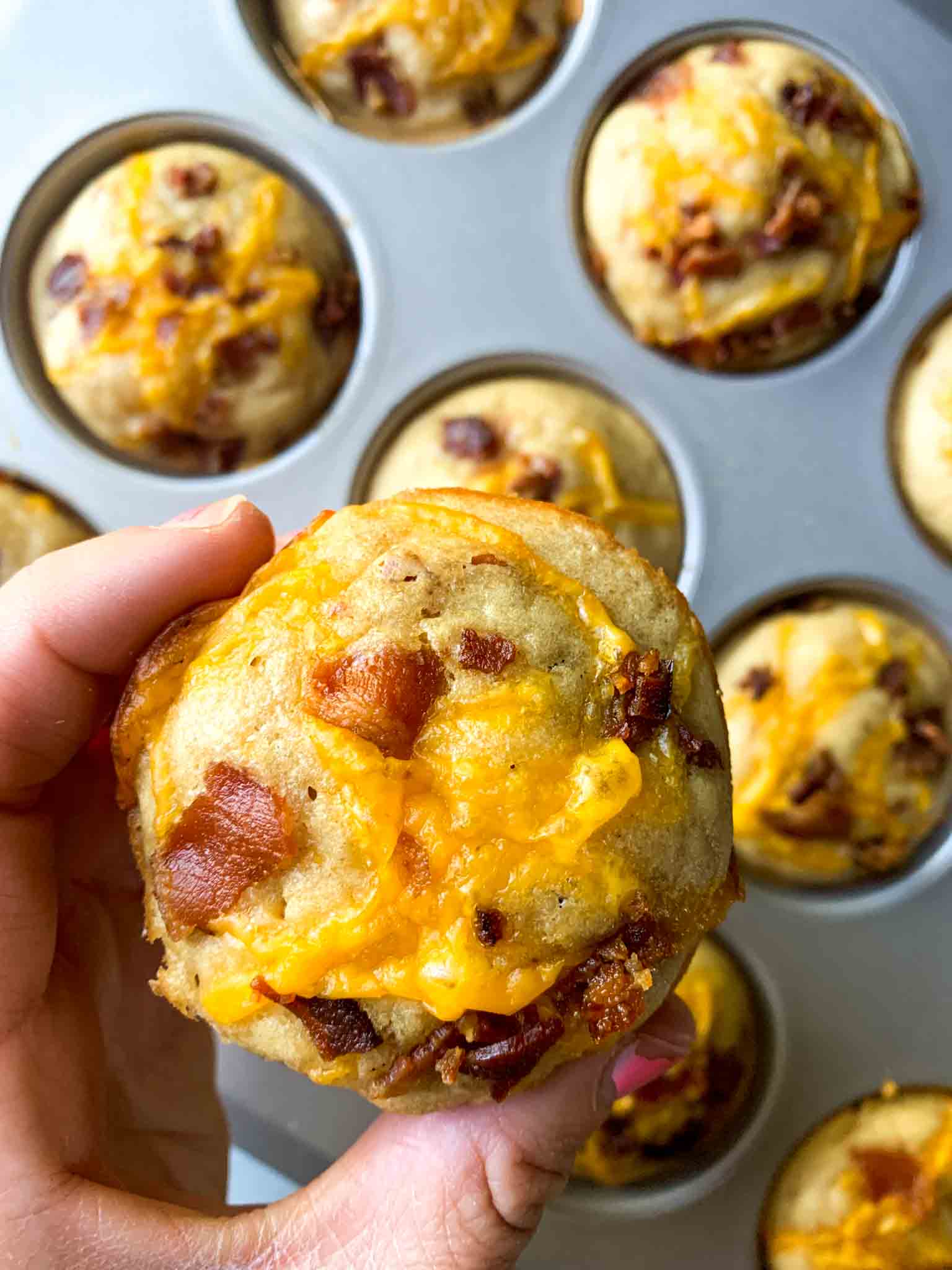 These are bacon cheddar muffins. There are fluffy muffins topped with pieces of crispy bacon and melted cheddar cheese. A hand is holding up one of the muffins and you can see the others in the muffin tin behind it.