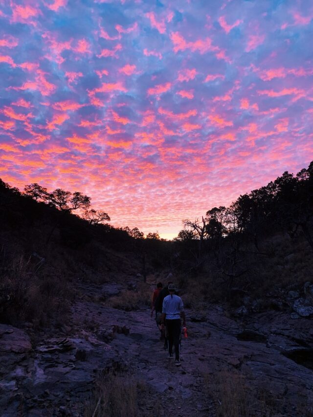 Picture of pink and purple sunrise in the mountains.