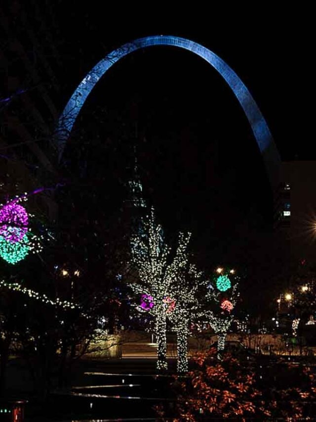 cropped-christmas-lights-st.-louis-2.jpg
